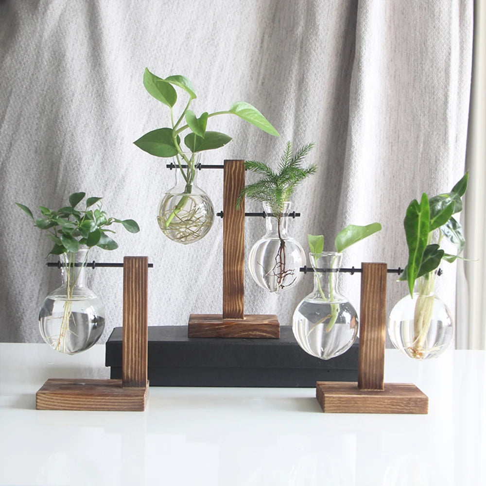 Elegant Glass Planter Propagation Station with Wooden Stand – Hydroponic Vase AE