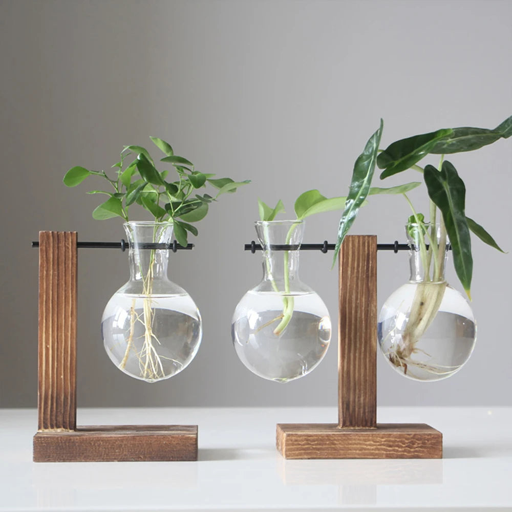 Elegant Glass Planter Propagation Station with Wooden Stand – Hydroponic Vase AE