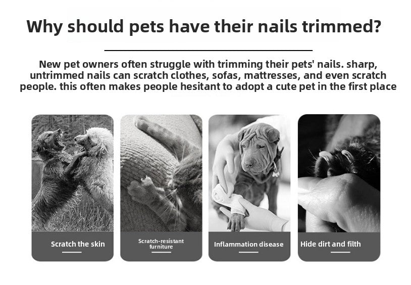 Pet Nail Clippers & File Set for Small Dogs Cats Stainless Steel Claw Trimmer with Safety Guard Non-Slip Handle Grooming Tool Black & Purple Wahtrends