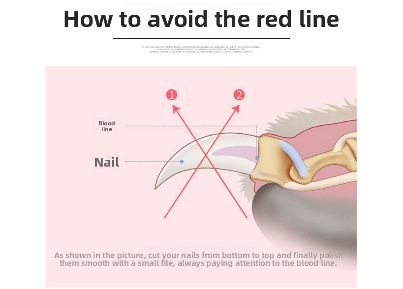 Pet Nail Clippers & File Set for Small Dogs Cats Stainless Steel Claw Trimmer with Safety Guard Non-Slip Handle Grooming Tool Black & Purple Wahtrends